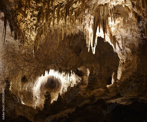 Cave formation of stalactites and stalagmites in the Big Room of Carlsbad Caverns National Park, New Mexico