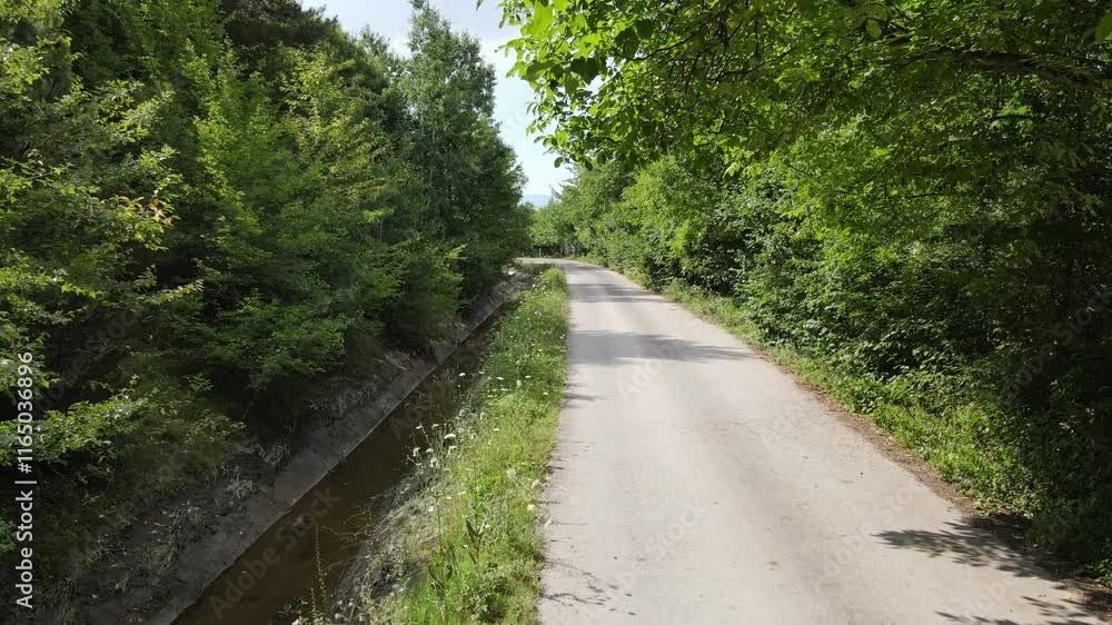 Asphalt Road with Green Forest Asphalt Road with Green Forest