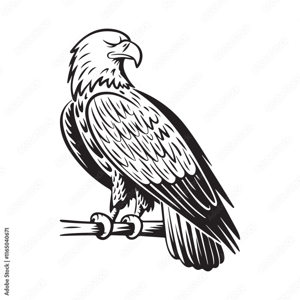 Fototapeta premium Eagle vector illustration. Eagle black vector artwork.