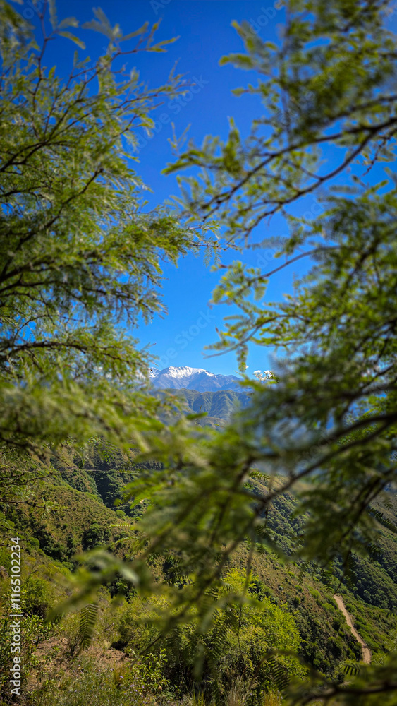 Paisaje Paisaje