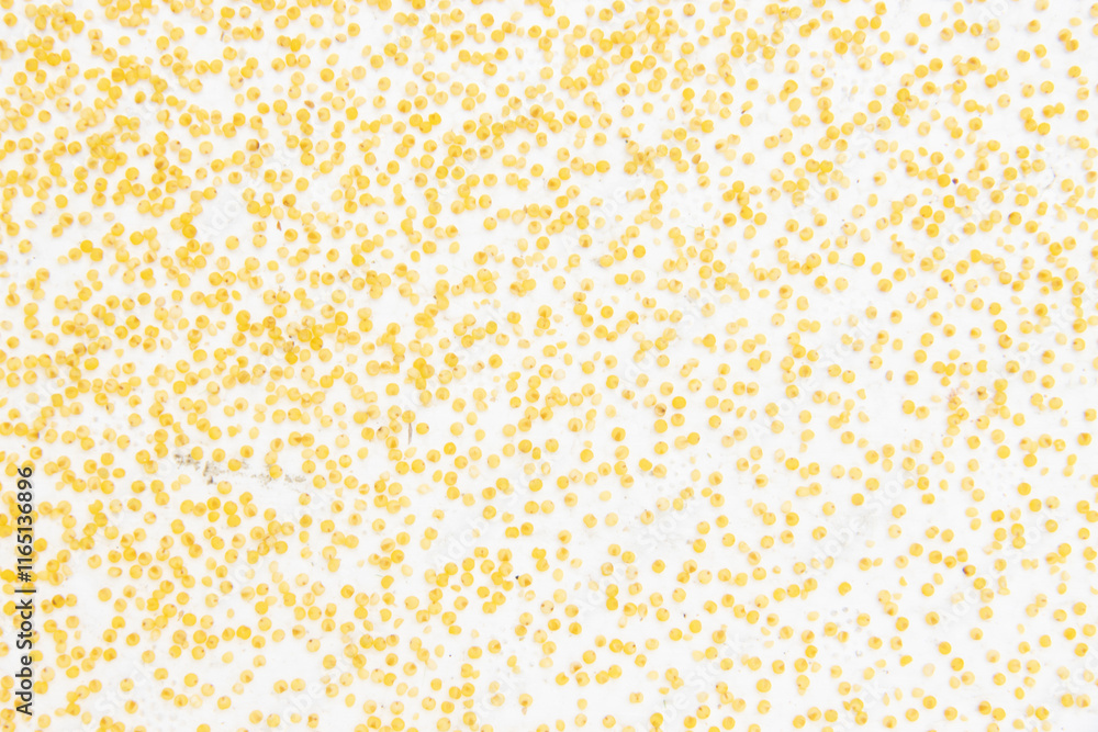 Particles, texture, dots, overlays, shapes, patterns, explosions, scattering, shapes, distributions, templates. food Particles, texture, dots, overlays, shapes, patterns, explosions, scattering, shapes, distributions, templates. food