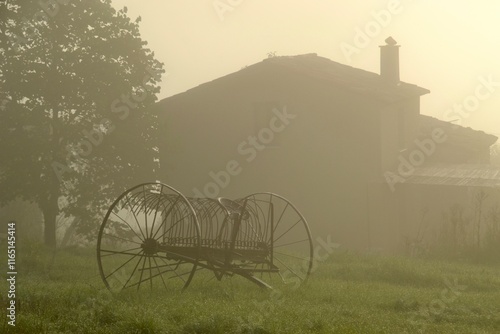 Fotografie Old farm equipment in misty field in Provence