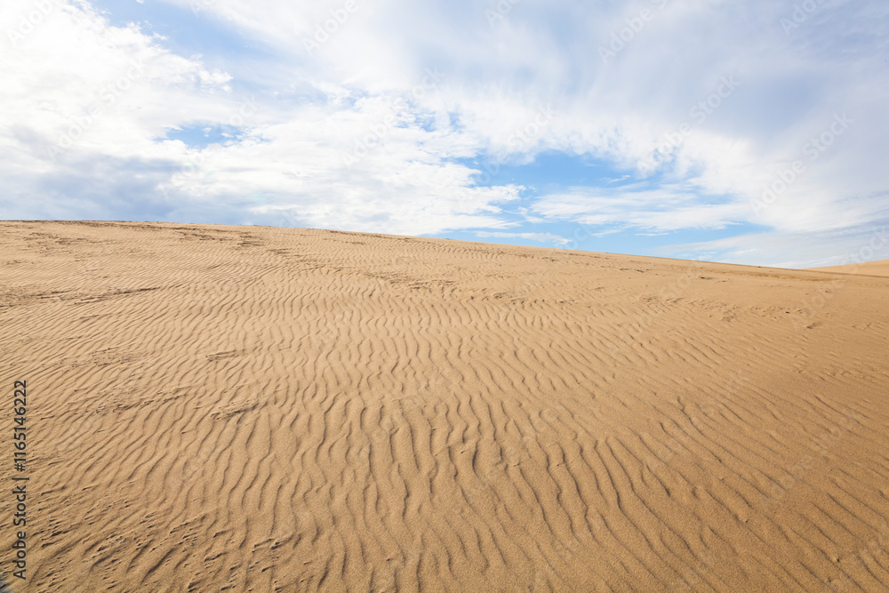 Naklejka premium 秋の鳥取砂丘の風景 鳥取県 鳥取砂丘