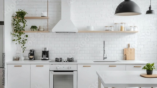 Simple and Stylish Kitchen Setup