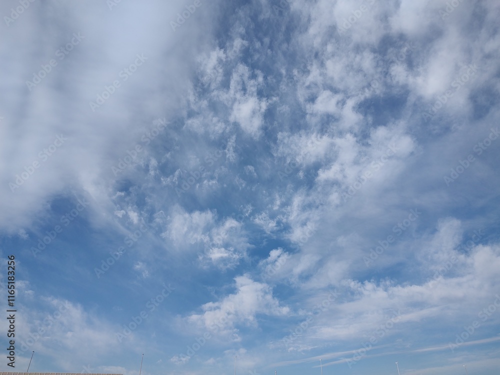 東京のそら(24.12.31)