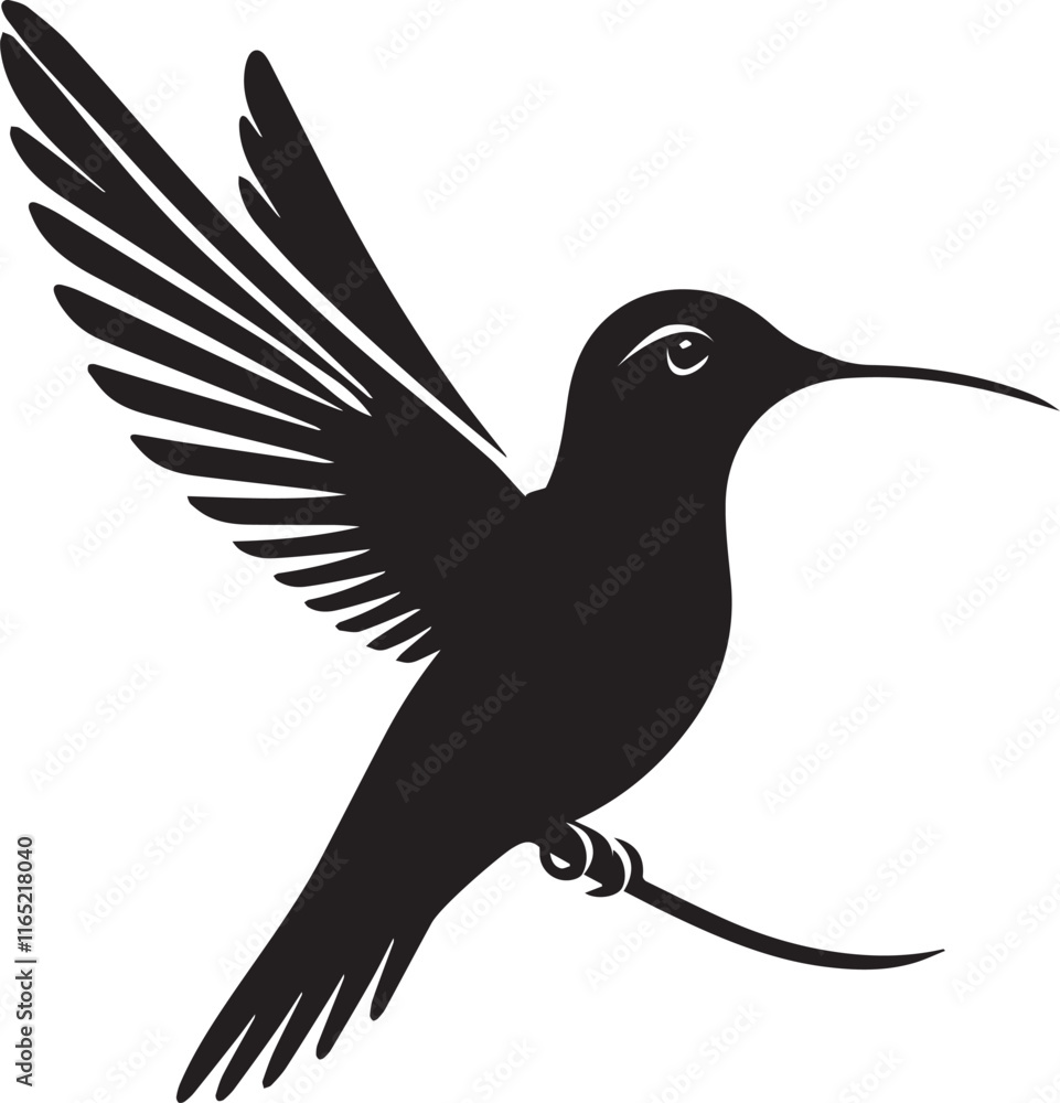 Fototapeta premium Humming bird silhouette vector artwork