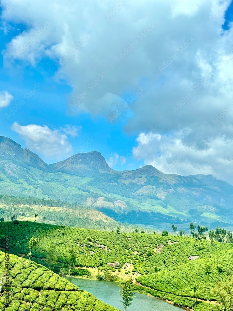 Fototapeta premium landscape in the mountains