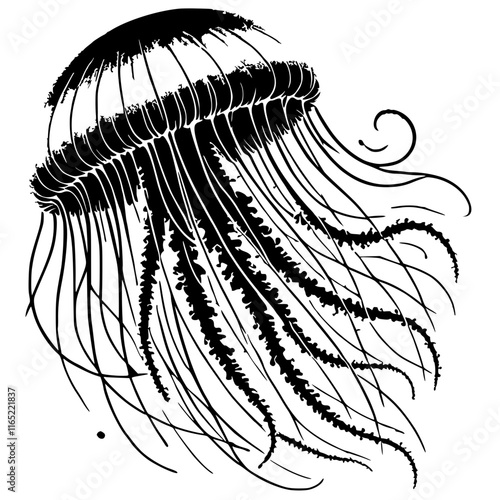 Beautiful jellyfish silhouette