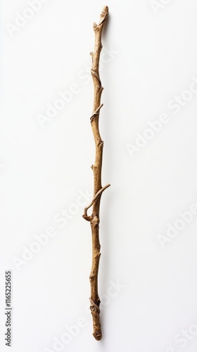 A Detailed Close-up of a Rustic Branch; Nature's Simple Elegance Captured photo