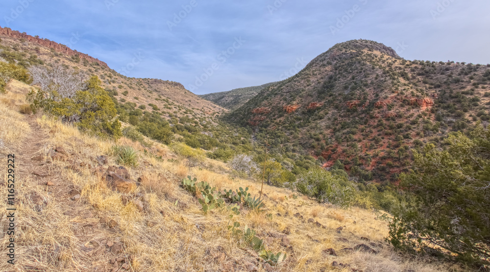Casner Canyon in Wet Beaver Creek Wilderness AZ Casner Canyon in Wet Beaver Creek Wilderness AZ