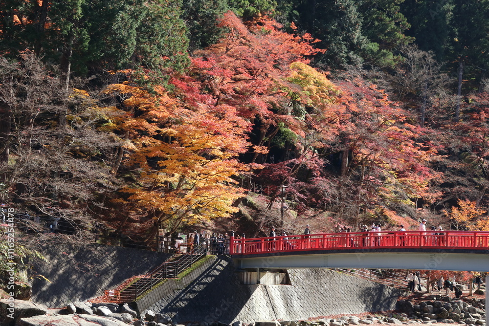 愛知県豊田市の紅葉名所、香嵐渓。待月橋。
愛知県豊田市の紅葉名所、香嵐渓。待月橋。