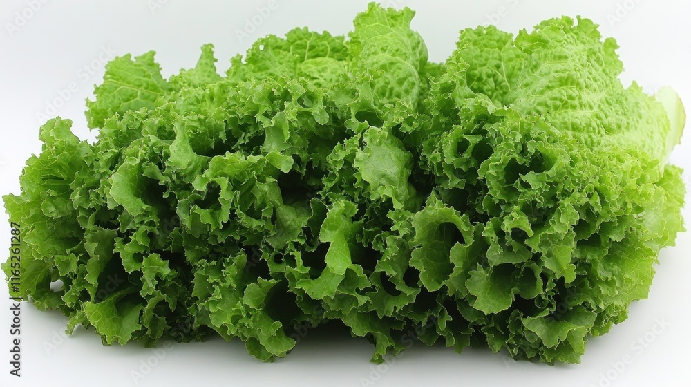 Fresh green leaf lettuce isolated on white. Fresh green leaf lettuce isolated on white.