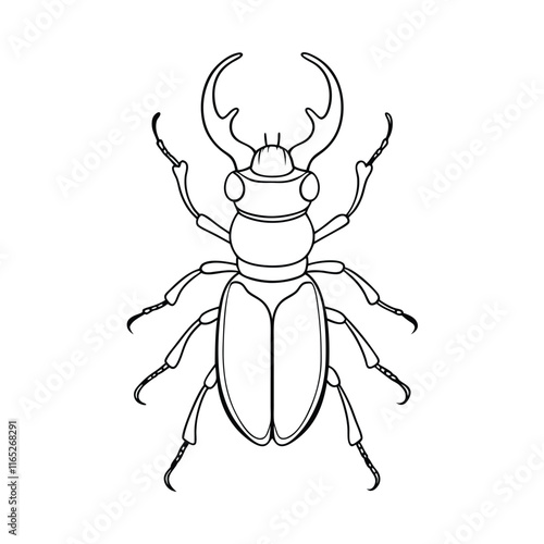 Stag Beetle (Lucanidae) insect design, labeled line art vector illustration.