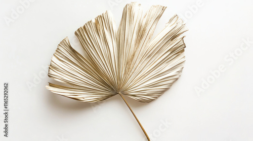 Wallpaper Mural An asymmetrical dried palm leaf with intricate veins and soft golden hues, laid flat on a bright white surface for focus. Torontodigital.ca