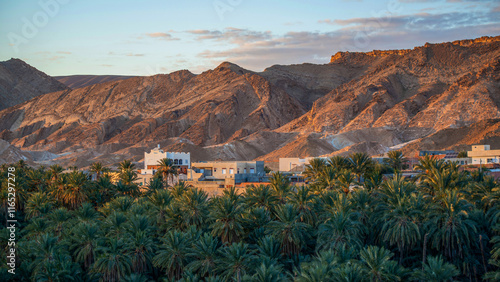 L'oasis de montagne de Tamerza en Tunisie