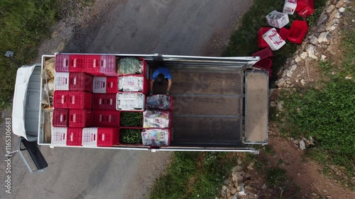 Agricultural workers loading crates trucks