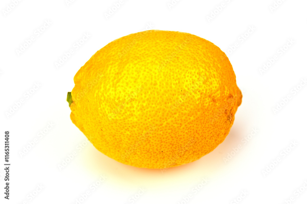 背景に使用できるレモン06