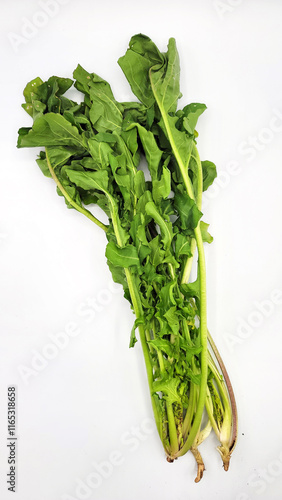 クレソン・自然栽培・オーガニック／watercress・Naturally grown/organic／크레손・자연 재배 · 유기농