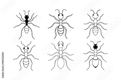 Velvet Ant (Mutillidae) insect design, labeled line art vector illustration.