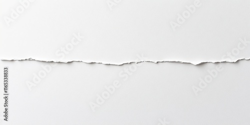 Minimalist white torn paper texture with natural tear line