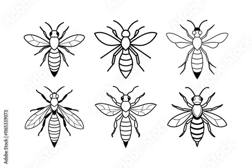 Paper Wasp (Polistes) insect design, labeled line art vector illustration.
