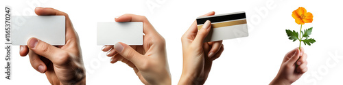 Hands holding blank business cards, credit card, and flower against a dark background showcasing creativity and potential interactions photo