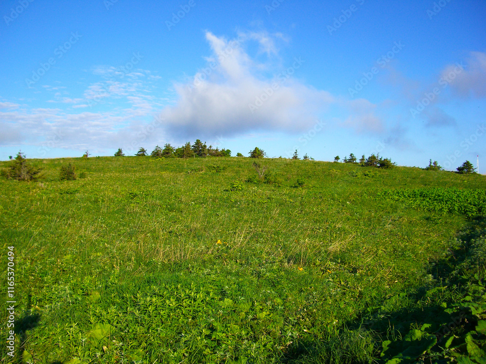 Obraz premium 北海道 利尻島の風景