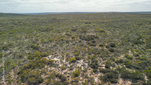 Aerial view of Z Bend in Kalbarri National Park, Western Australia Canyon photo