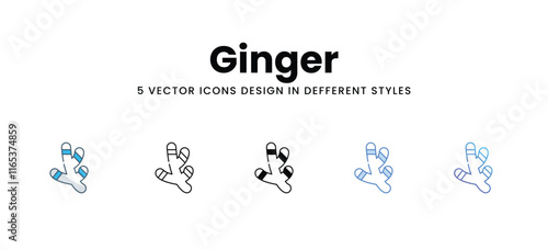 Ginger icons in different style vector stock illustration