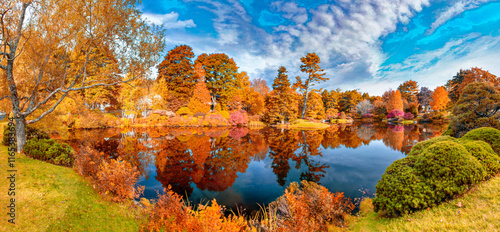 Fototapeta Naklejka Na Ścianę i Meble -  Asticou Azalea Garden with Foliage Lake Reflections, Acadia National Park - Maine, USA