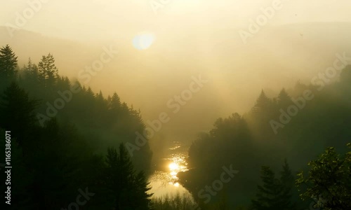 Matahari tertib tampak di atas sungai dan hutan  photo