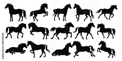 Horse Silhouette  Bundle  Beautiful horse vector design with white background