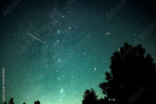 Milky Way stars with meteor shower trails and countryside tree s