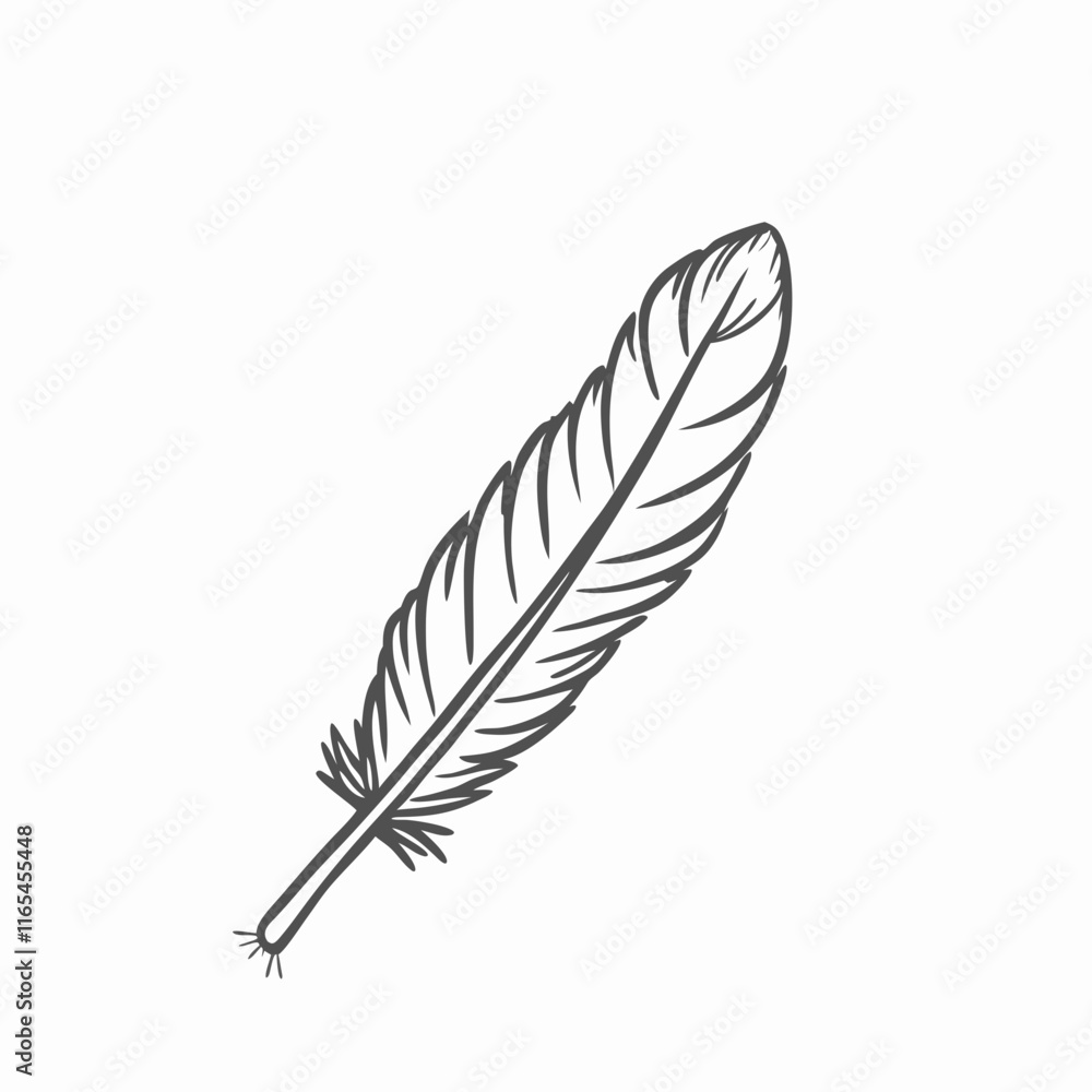 Fototapeta premium Elegant Feather Illustration – Minimalist Black and White Design