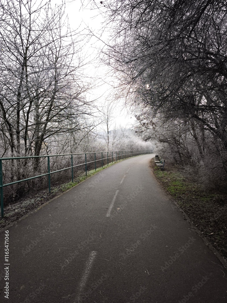 Fototapeta premium Athletic track Winding paved path through frosty trees in prague, czechia