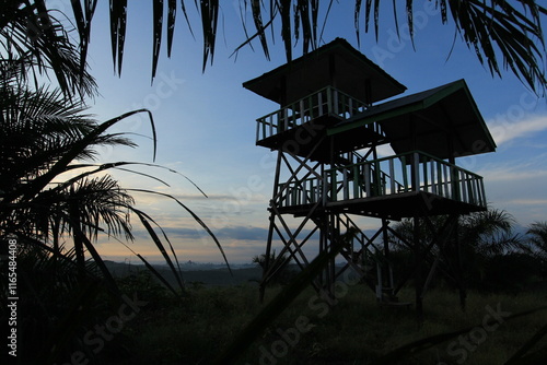 Viewing towers are used to monitor the surrounding area
