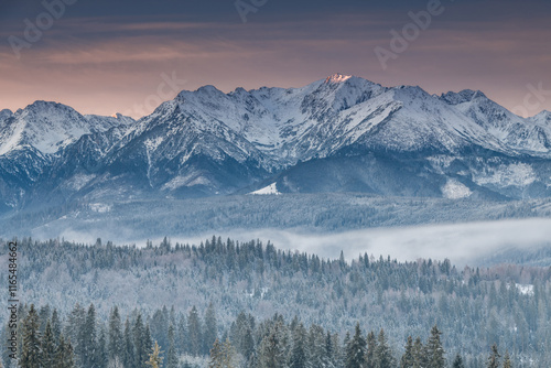 Winter landscape in Tatra Mountains at snowy day.