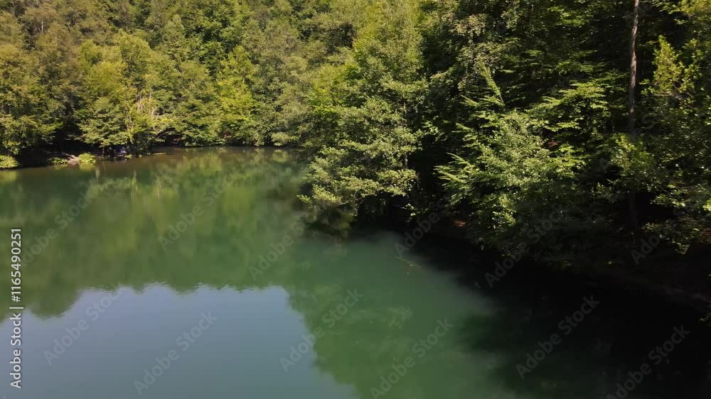 Wooded Lake Park on Forest