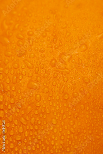 Wallpaper Mural orange pumpkin wet in water close-up Torontodigital.ca