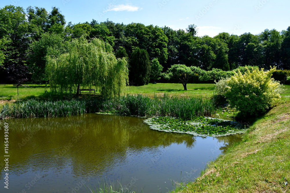 A view of a beautiful, well-maintained garden full of decorative trees, shrubs, benches, old red brick walls, herbs, rocky paths and having a small pond with Lilly pads and reeds in the very center A view of a beautiful, well-maintained garden full of decorative trees, shrubs, benches, old red brick walls, herbs, rocky paths and having a small pond with Lilly pads and reeds in the very center