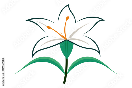 lily line art colour vector design illustration photo