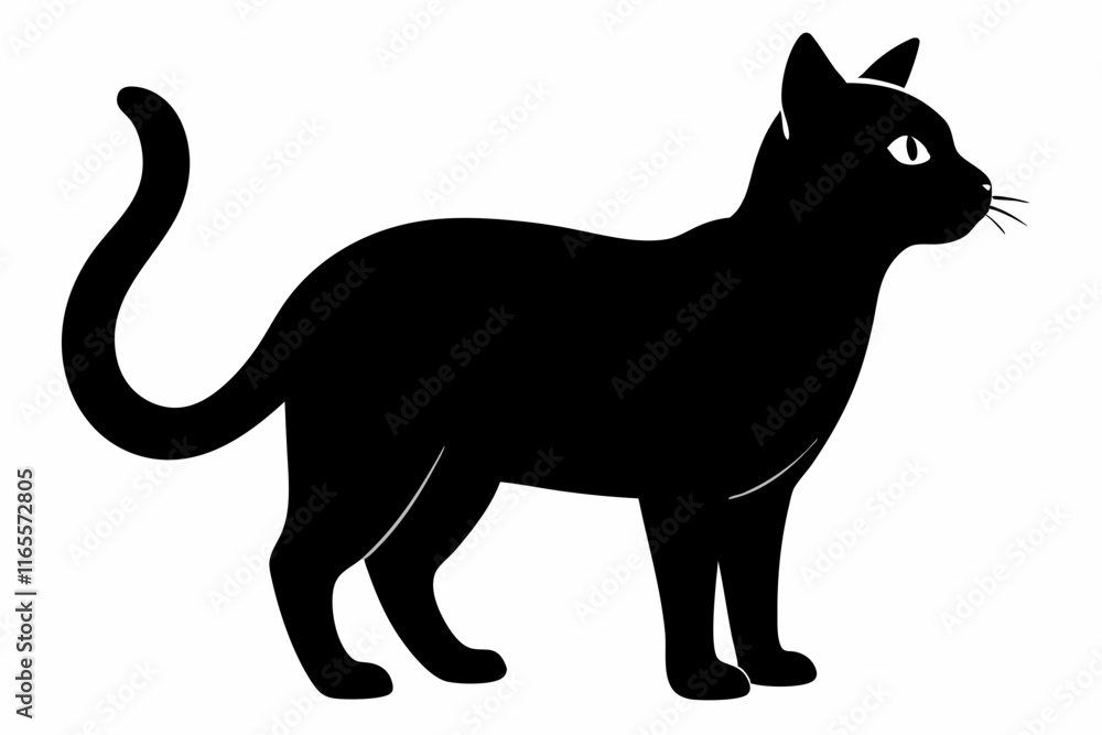 Fototapeta premium Cat Silhouette Black Vector
