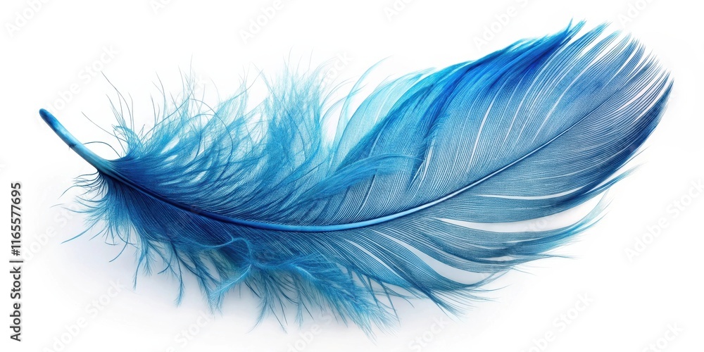 Obraz premium A delicate blue feather against a pristine white backdrop, showcasing intricate details and graceful curves.