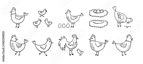 Hand drawn cute hen chickens set. Doodle farm chickens sketch style. Funny outline domestic birds, poultry concept.