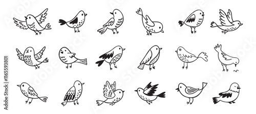 Bird doodle set. Birds hand drawn collection. Cute hand drawn bird doodles. Black on white drawing