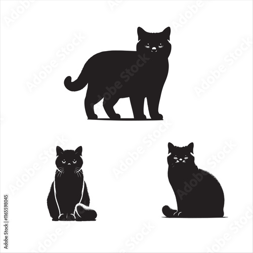 British Shorthair Cat Vector Illustration - Elegant Domestic Feline Design