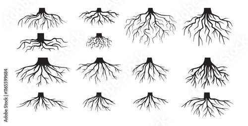Various realistic tree roots, shrub roots. Parts of plant, root system tree stump. Dendrology, woody plants. Sketch doodle drawing.