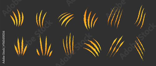 Cat scratch. Golden claw scratches set isolated on black background. Dragon, bear or tiger claw marks. Halloween monster paw scratch trace on surface. Flat vector illustration.