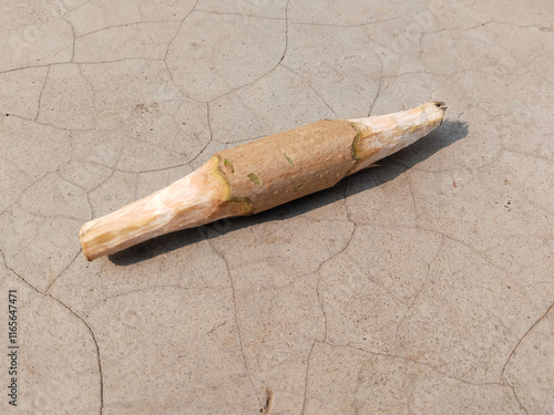 Gilli Danda is also known as Billarda, Bòlit, Pati-kubra, Lippa,ḍāṅguli khelā and Klipa in Spain, Catalonia, Philippines, Italy ,Bangladesh and Poland.