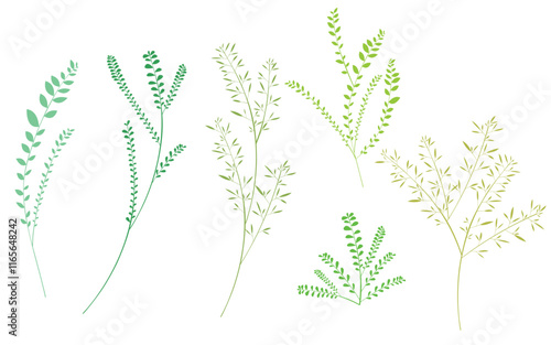 Green vine branches and leaves plant illustration